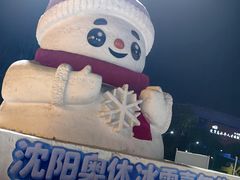 -沈阳奥体冰雪嘉年华