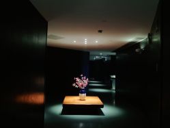 -奈瑞儿美养院·身体调养·美颜