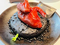 -柴门·头啖汤(天安千树店)