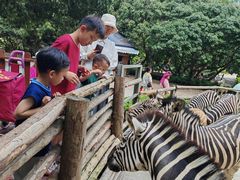 -泉州海丝野生动物世界