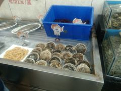 -渔民船说·北塘海鲜·天津菜·海肠捞饭(北塘古镇店)