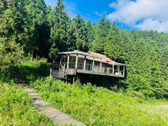 -武陵山森林公园