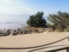 -深圳湾公园(南山区)