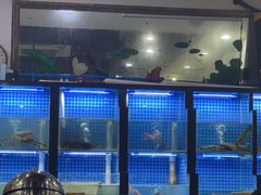 -金龙·打边炉(武进路店)
