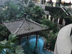 -黑龙江中医药大学附属第一医院