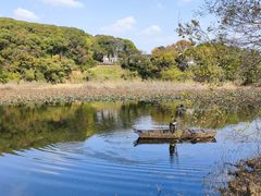 -上海市保健医疗中心