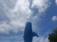 -珠海长隆海洋王国