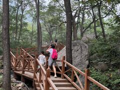 -大岭沟猕猴桃谷风景区