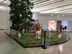 -西宁曹家堡国际机场-T2航站楼