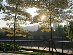 -四海公园(南山区)