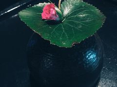 -王家渡火锅店(棕榈泉店)