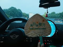 -枫花园汽车电影院(朝阳公园店)