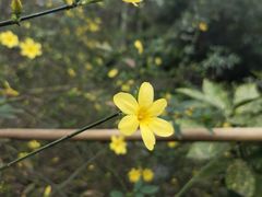 -贵阳市花溪国家城市湿地公园