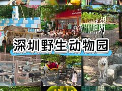 -深圳野生动物园