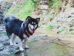 -孤山寨风景区