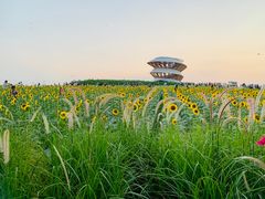 -光明小镇欢乐田园