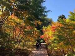 -长春世界雕塑园冰雪艺术天地