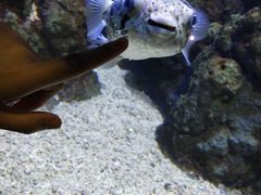 -郑州海洋馆