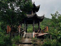 -龙坞茶村