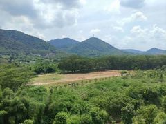 -红山村