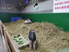 -文和友老长沙龙虾馆(化龙池店)