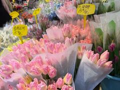 -循礼门鲜花花市(武汉循礼门店)