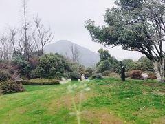-桃花岛景观公园