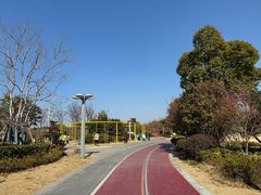 -澹台湖公园