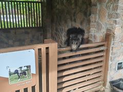 -珠海海泉湾神秘岛亲子乐园