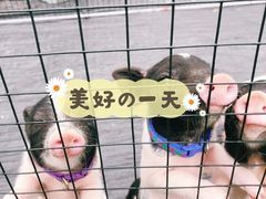 -前小桔亲子创意农场·草莓采摘·露营烧烤