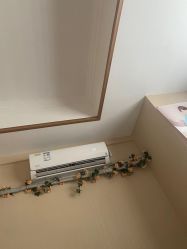 -Dr.林醫生产后修复·配方产康(南京江宁万达店)