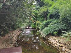 -潜山国家森林公园