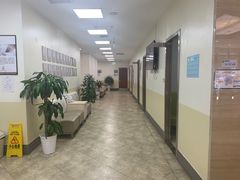 -美联众合动物医院·24h转诊中心