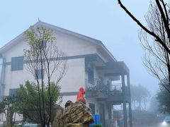 -铁山坪森林公园