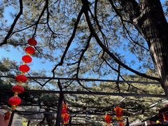 -红螺寺