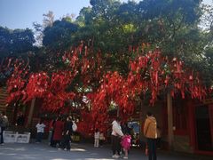 -国恩寺