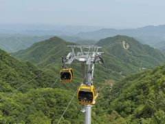 -栾川竹海野生动物园