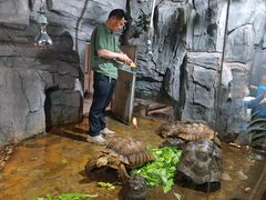 -石家庄市动物园