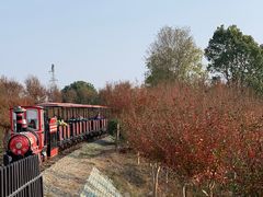 -武汉紫薇都市田园