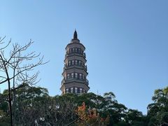-顺峰山公园