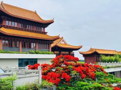-深圳市中科院仙湖植物园