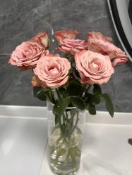 -酉嘉瑜伽YO+YOGA