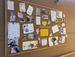 -上海首尔丽格医疗美容医院