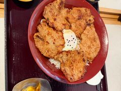 -dodonpa.墩墩伐 便当食堂(博华广场店)