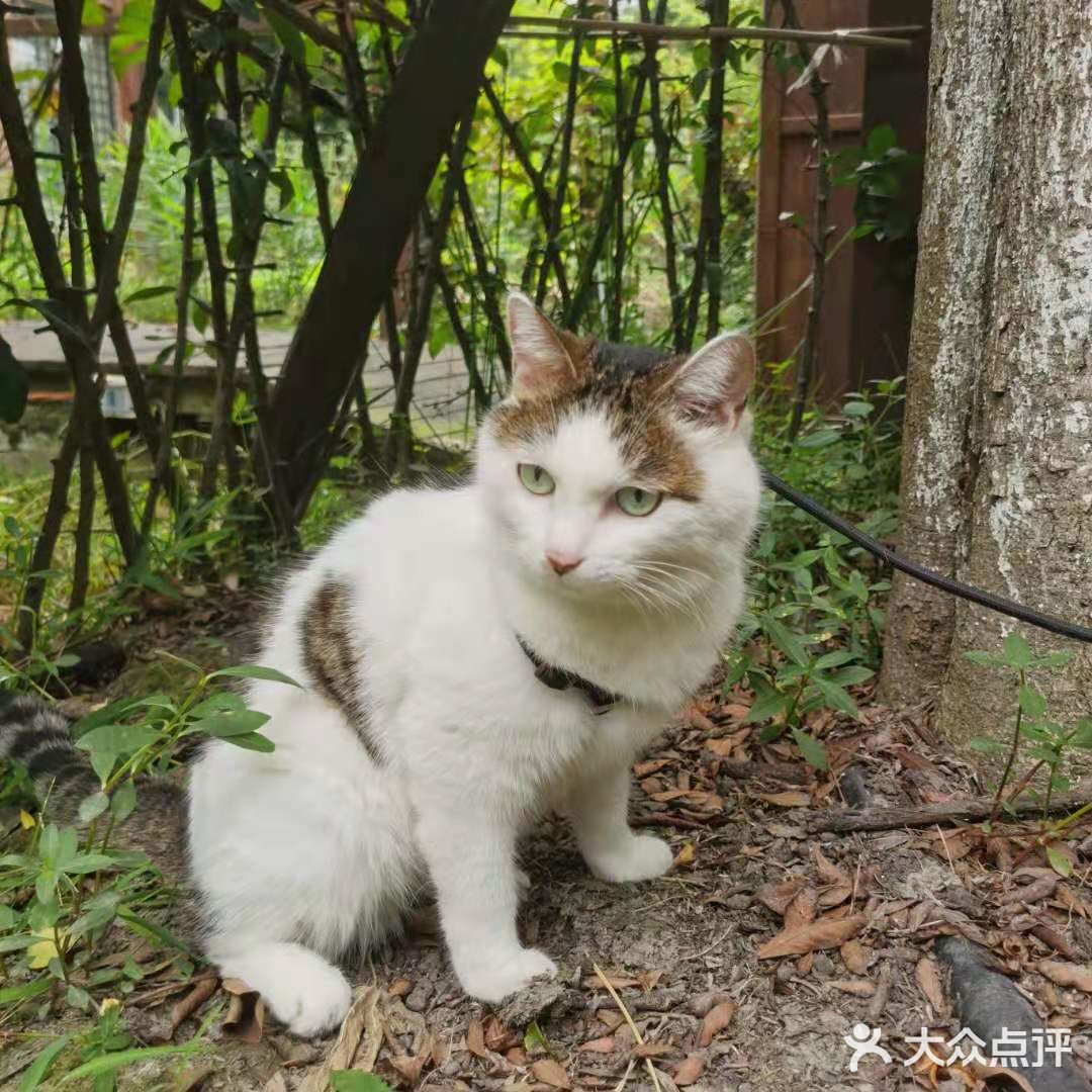 大学四年每年都去好多次的甜品店！最爱