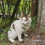 大学四年每年都去好多次的甜品店！最爱