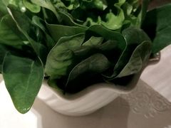 -龙福成肥牛火锅(文昌店)