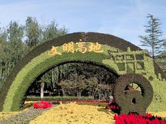 -大兴滨河森林公园