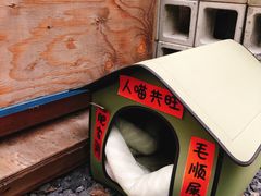 -The Roastery By AllYouWant(福田店)