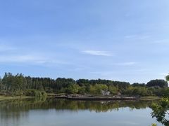 -东郊湿地公园